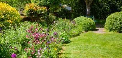 jardim verde e florido, com muita grama, flores roxas e plantas ornamentais