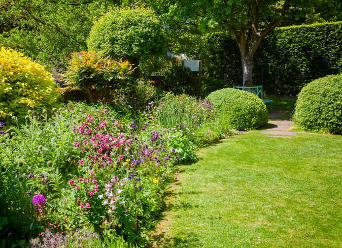 jardim verde e florido, com muita grama, flores roxas e plantas ornamentais